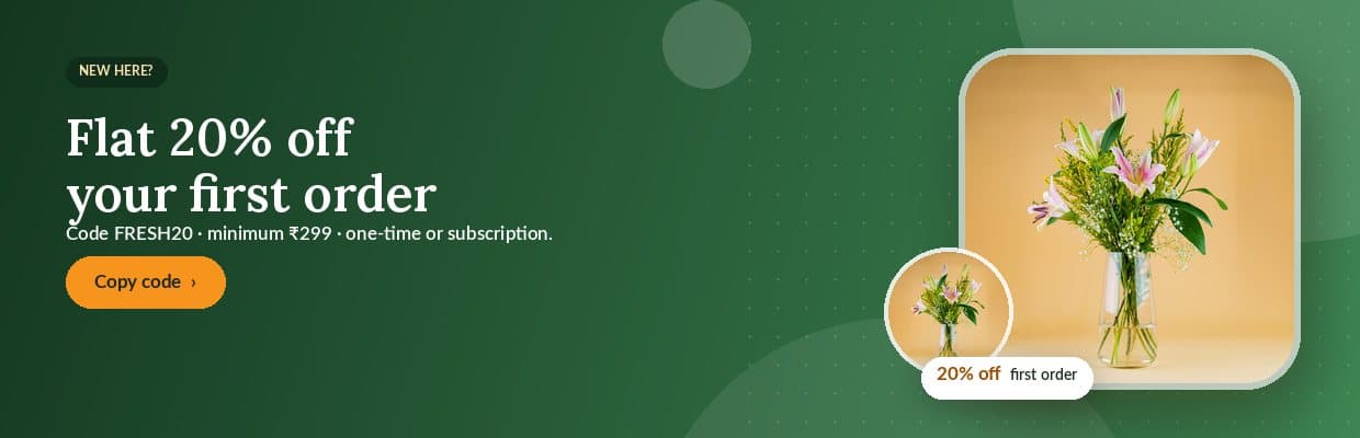 Flat 20% off your first order