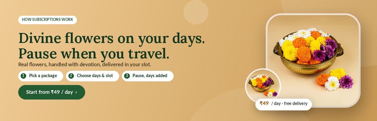 Divine flowers on your days. Pause when you travel.